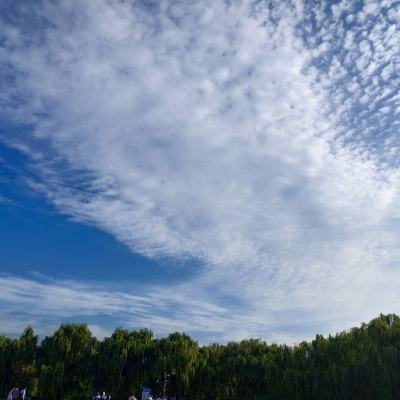 纸盒人大作战游戏下载
