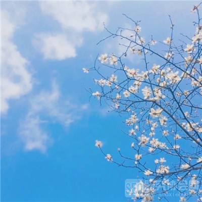 青云灵汐缘游戏下载最新版